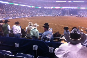 Houston Rodeo Chute Seats