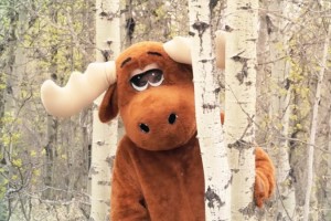 Dan Davidson “Found” The Fun In Country Music