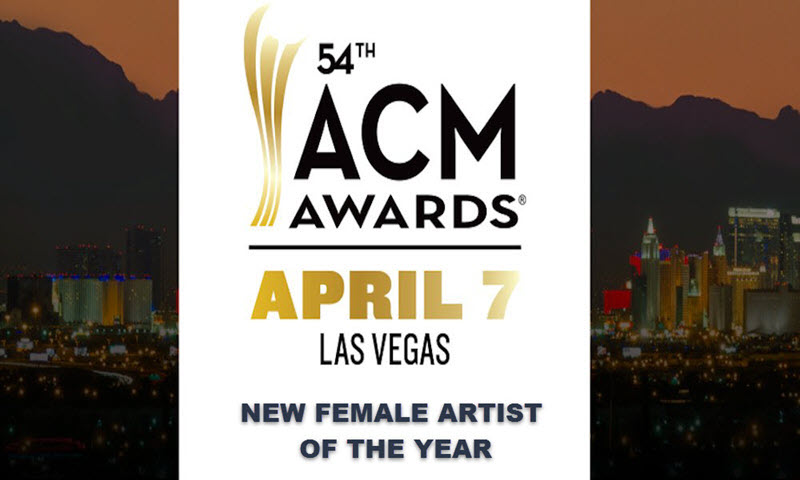 acm awards 2019 new female